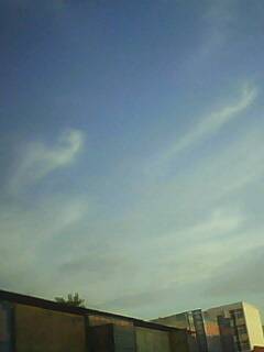 IMG0251A.jpg