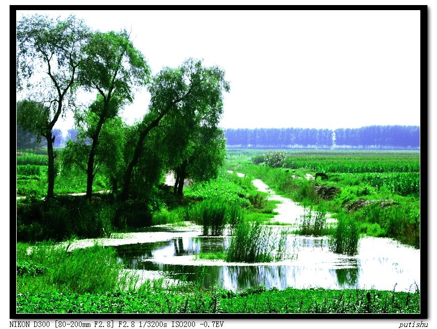 Ƭ 047.jpg