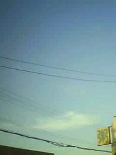 IMG0252A.jpg