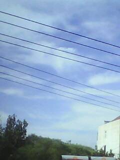 IMG0249A.jpg