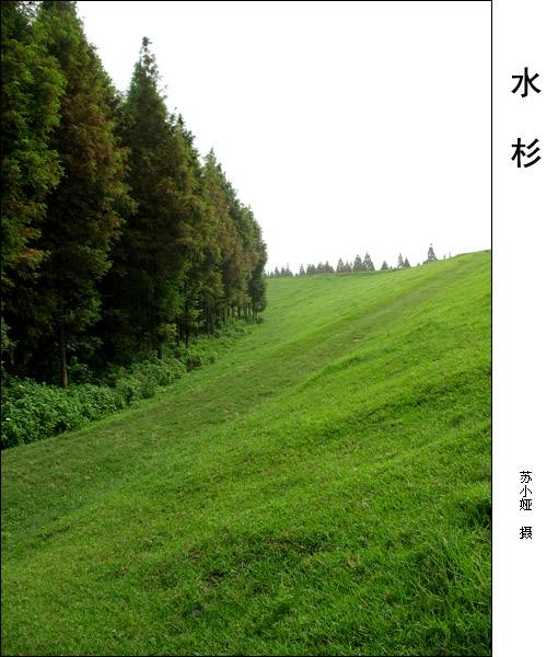 ˮɼ7.jpg