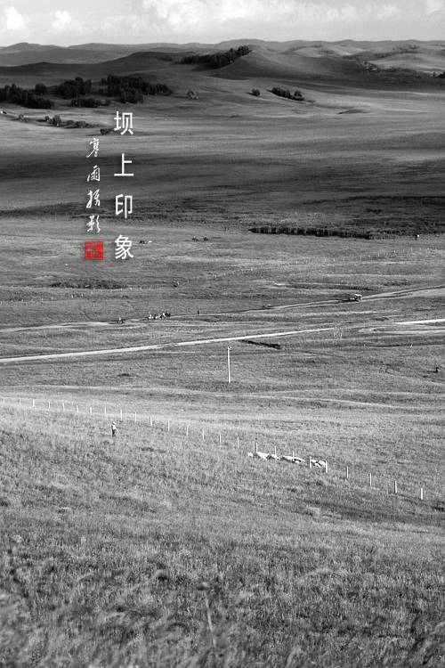 _MG_2692.JPG