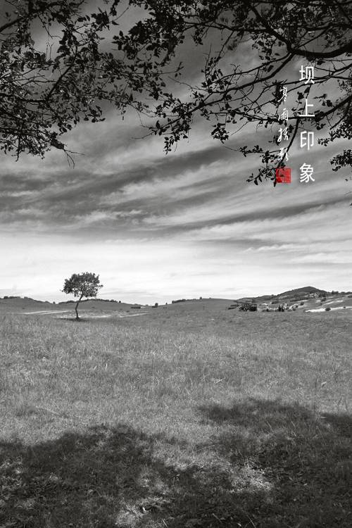_MG_2297.JPG