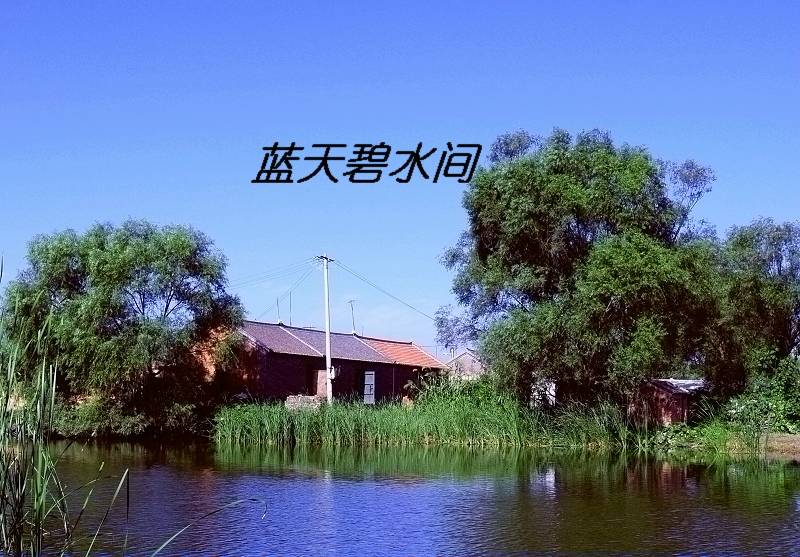 Ƭ 007.jpg