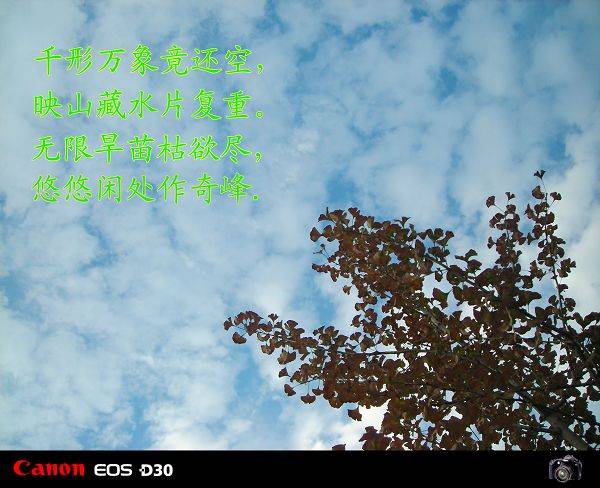 DSCN2282.JPG