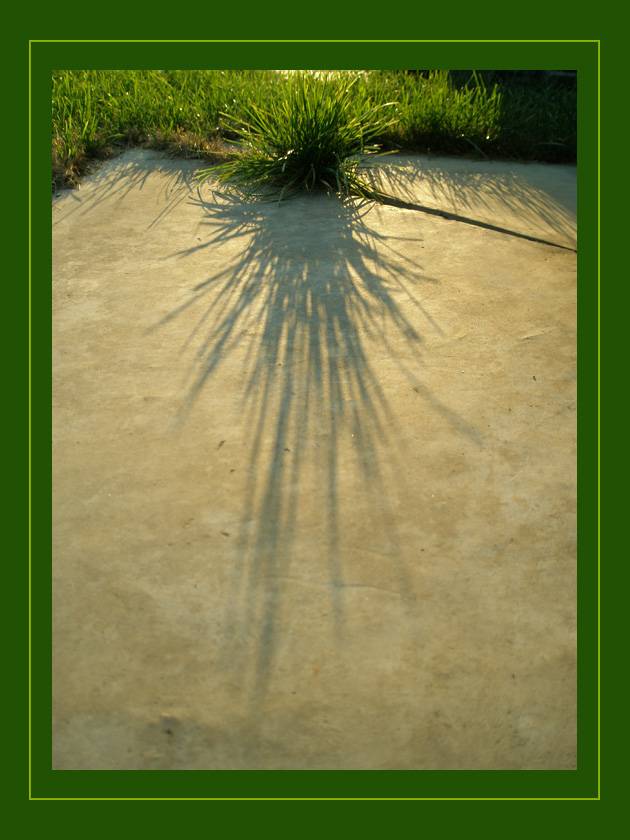 05.jpg