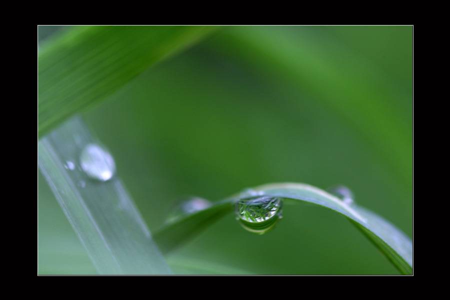 IMG_6273-1.jpg