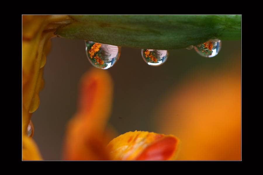 IMG_6259-1.jpg