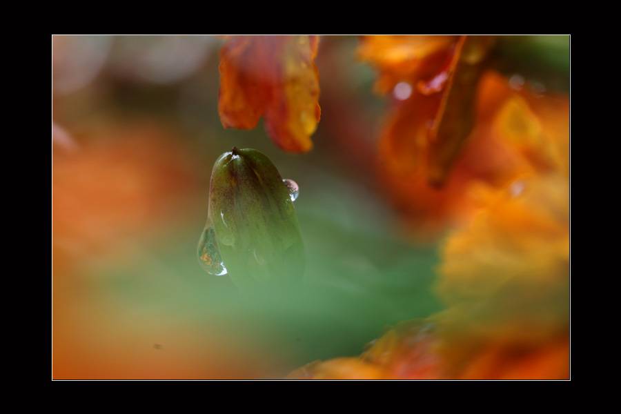 IMG_6260-1.jpg