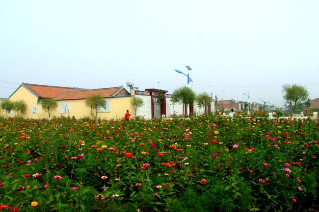 ׯ7.jpg