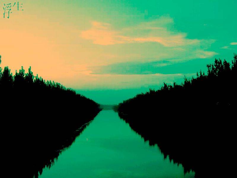 DSCN3076.jpg