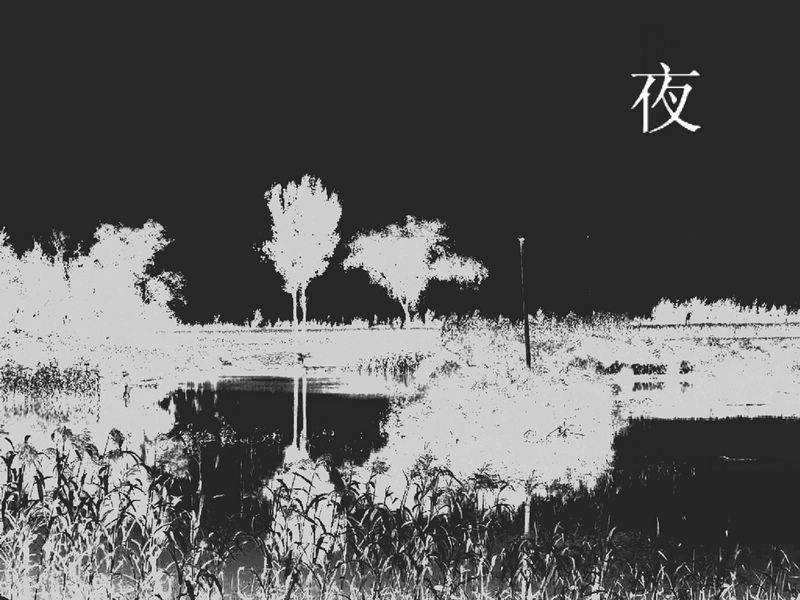 DSCN1866.JPG