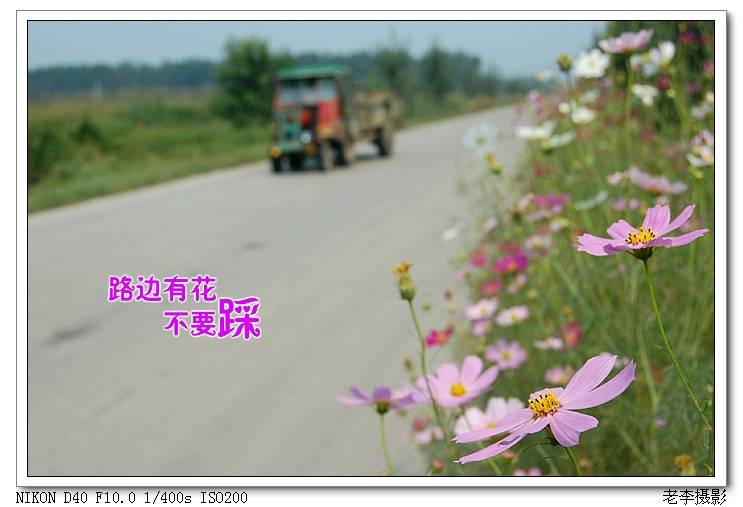 03.jpg