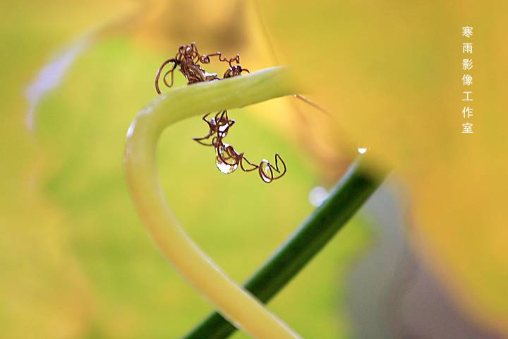 _MG_3417.JPG
