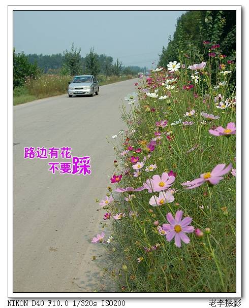 04.jpg