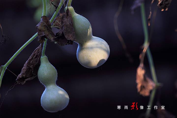 _MG_3470.JPG