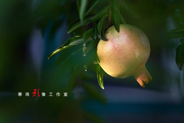 _MG_3450.JPG