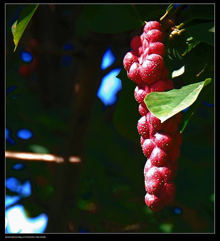 DSC_0714.JPG