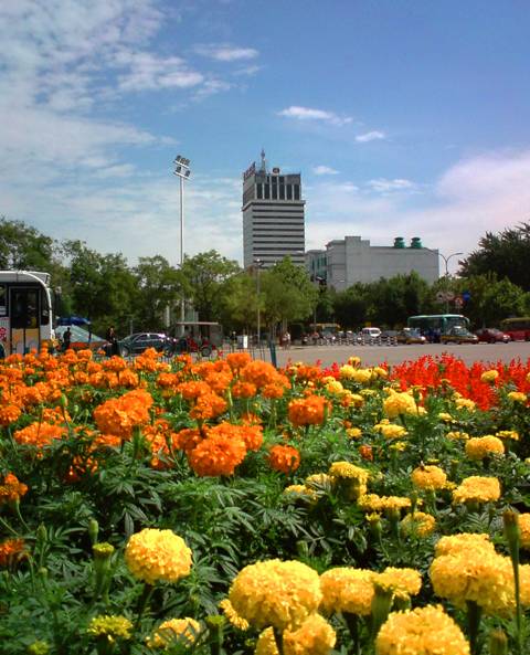 DSC00004.jpg