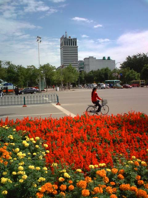 DSC00003.jpg
