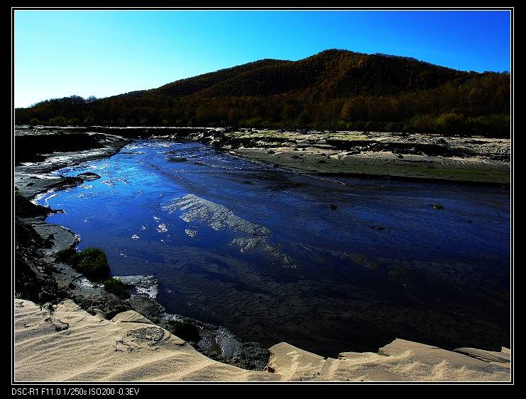 _DSC8963.JPG