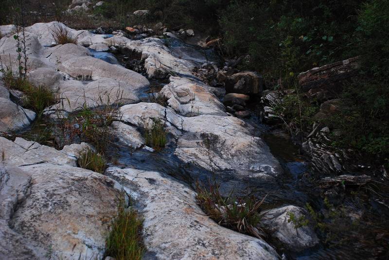 DSC_0133.jpg