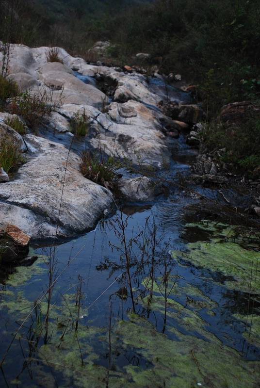 DSC_0134.jpg
