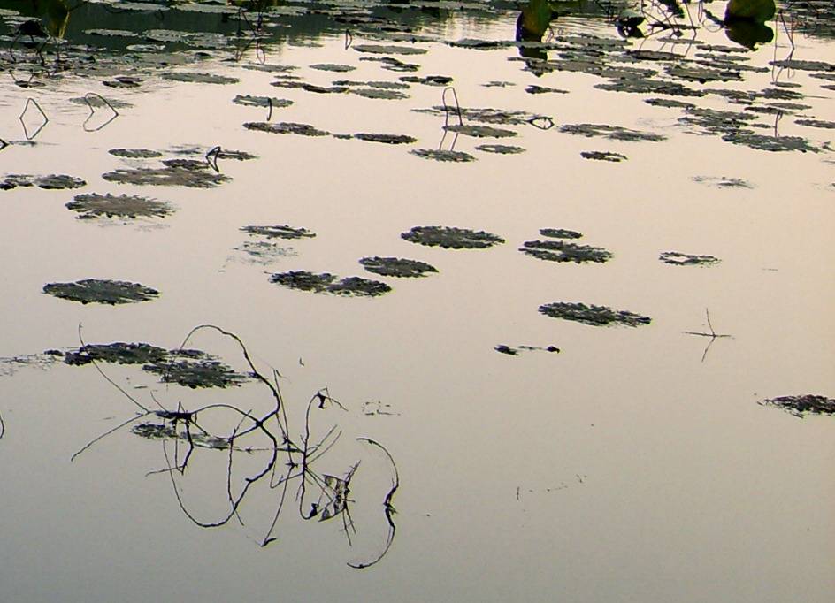 S8003576.jpg