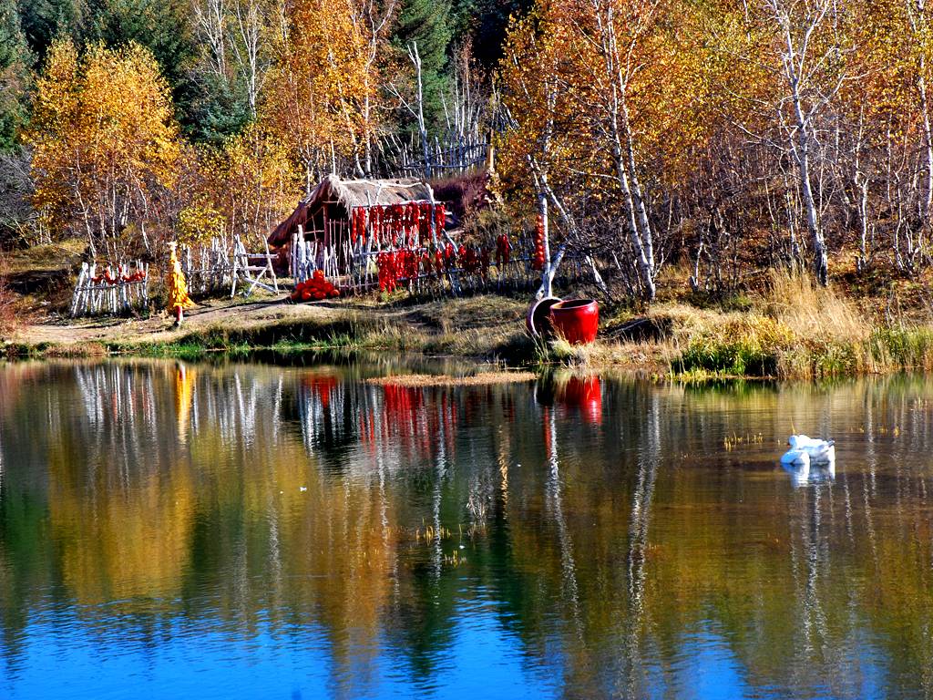 DSC_07130jpg.jpg