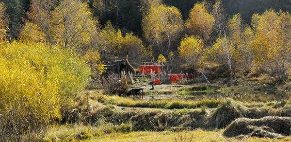 _DSC6577.jpg