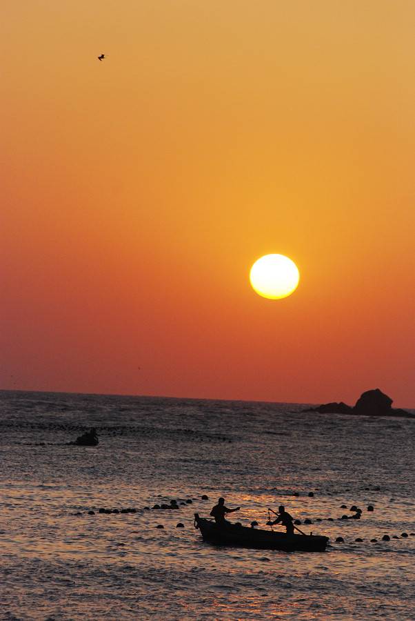 DSC_0403.JPG