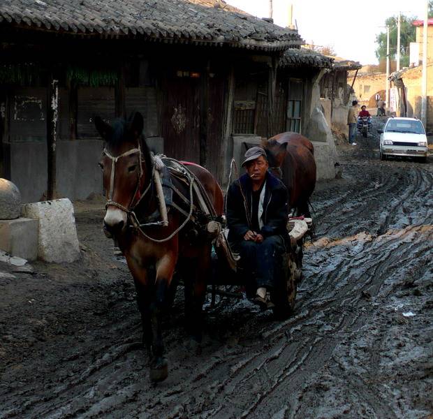 P1050788.jpg..jpg