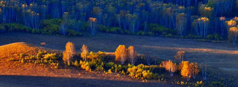 DSC_4374-1.jpg