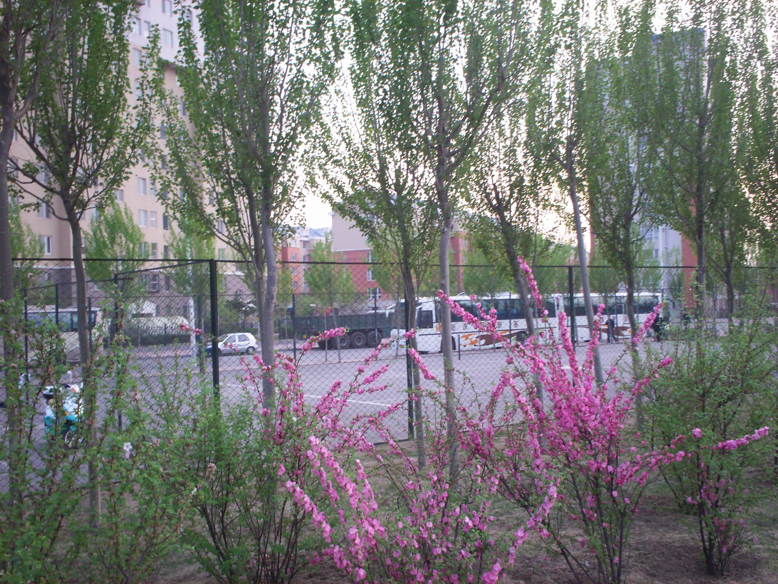 100_0322.jpg