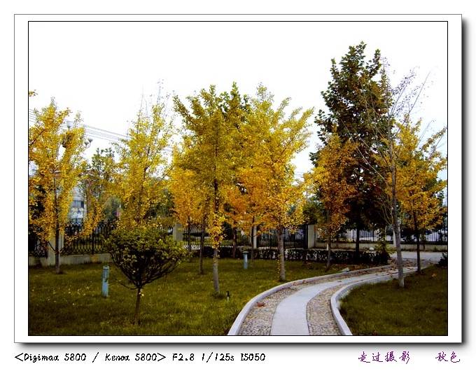S8003705.jpg