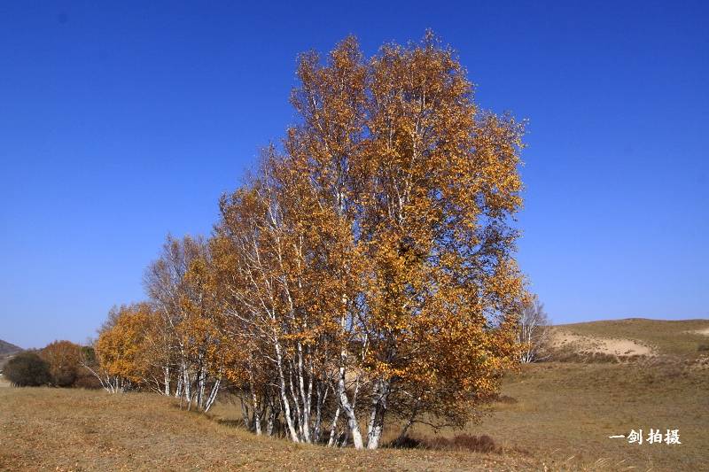 IMG_8765.JPG
