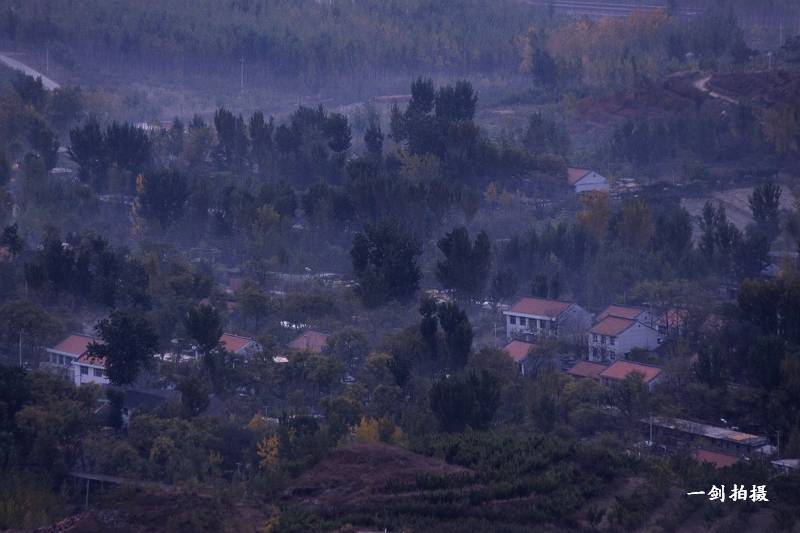IMG_4796.jpg