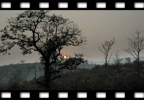DSC_75007.jpg