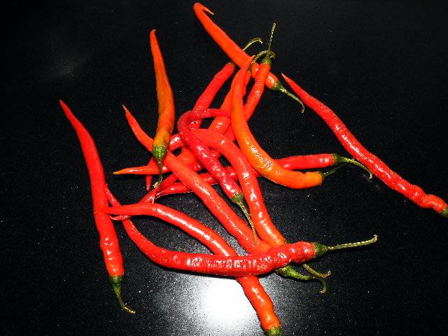 DSCF1661.JPG