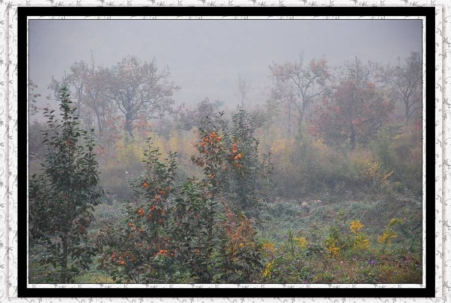DSC_0027.jpg