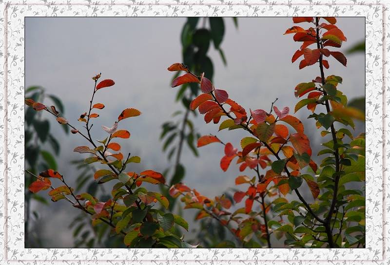 DSC_0089.jpg