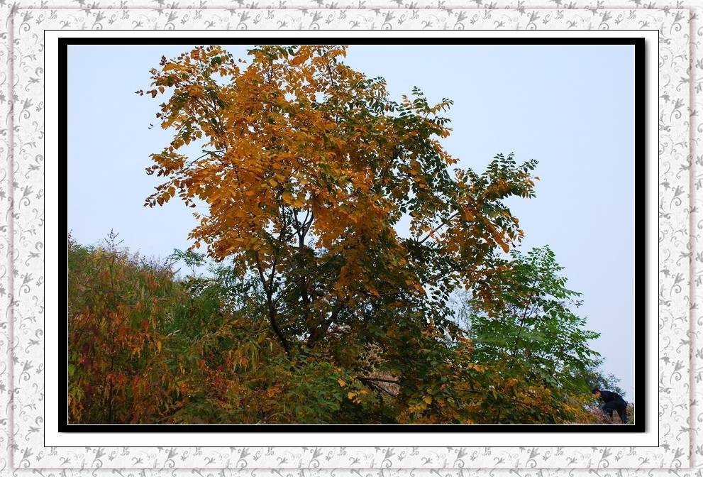 DSC_0105.jpg