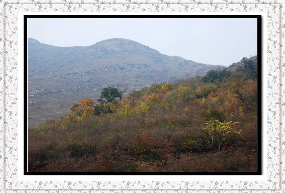 DSC_0073.jpg