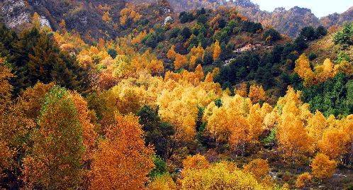 Img260105617.jpg