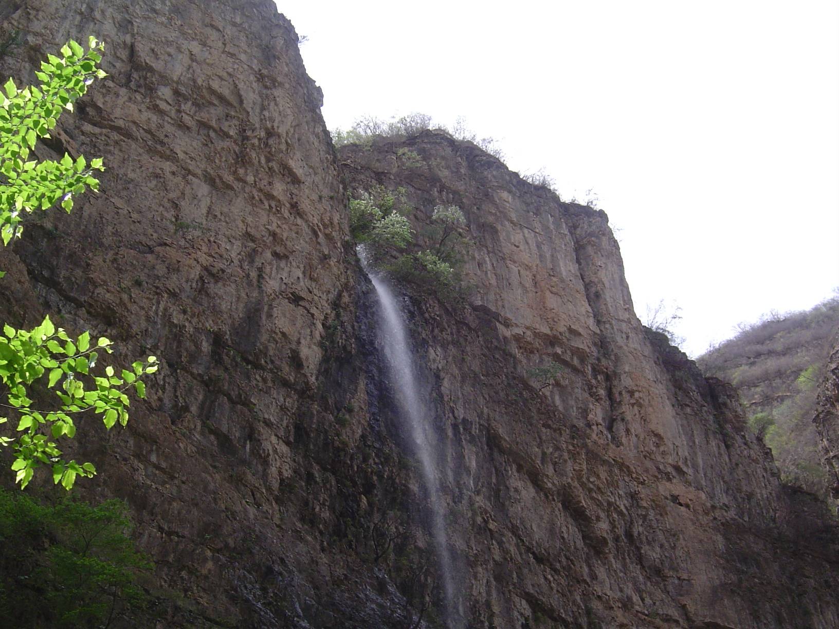 DSC03343.JPG