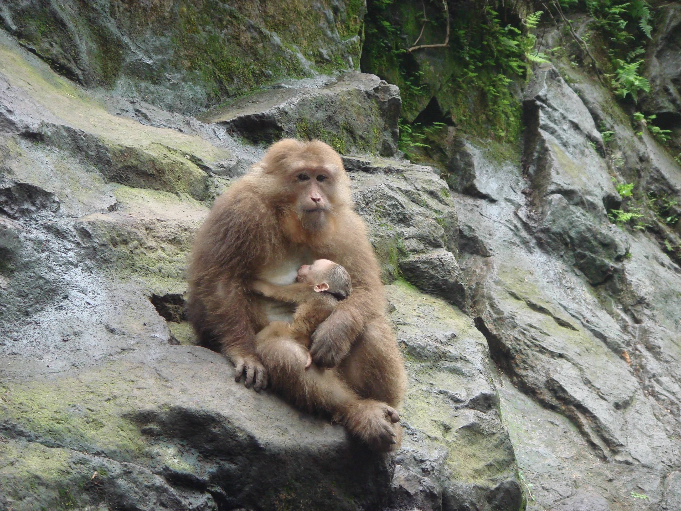 DSC00707.JPG