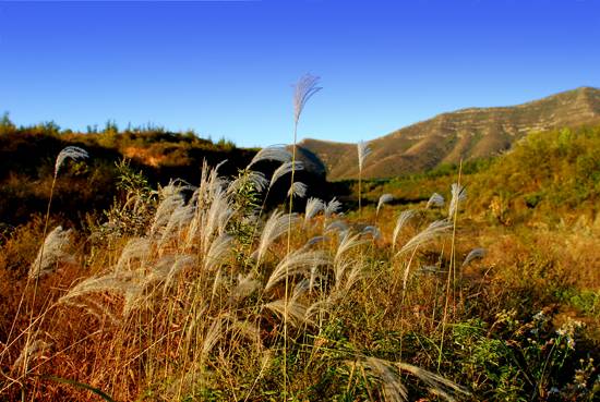 DSC_2177.jpg