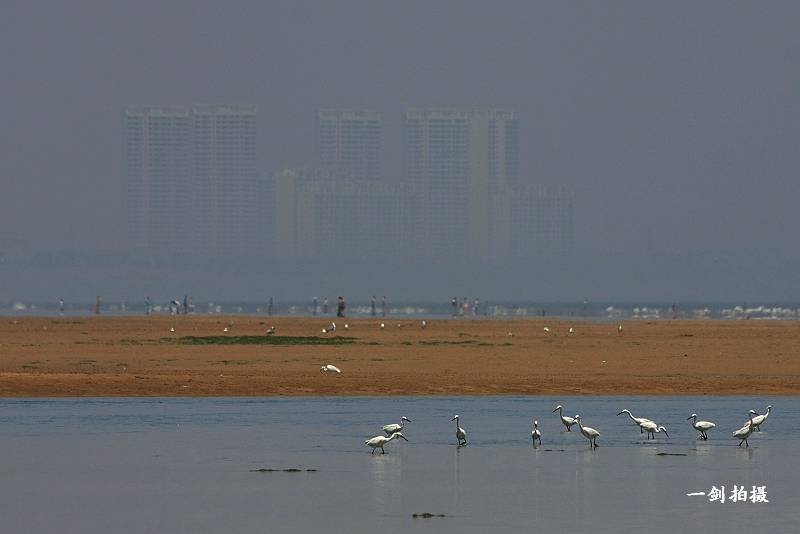 IMG_9033.jpg