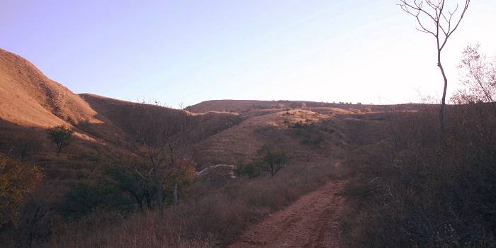 IMG_5130.JPG