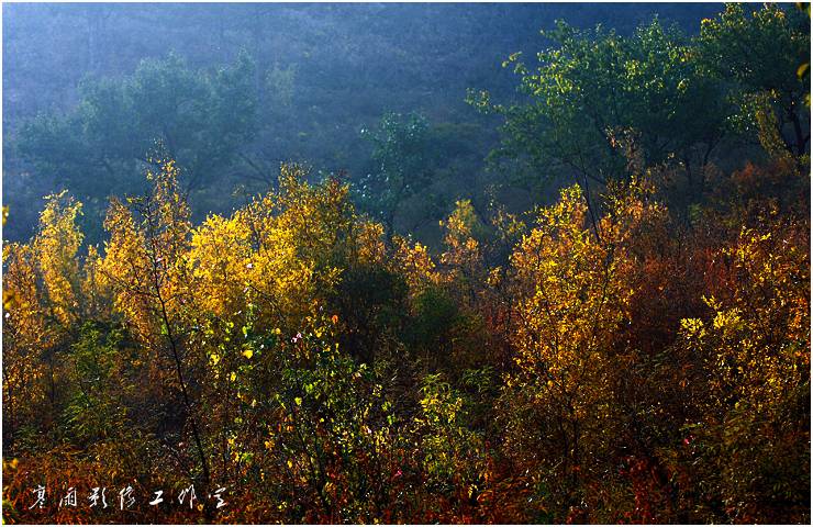 _MG_9583.JPG
